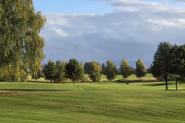Bjørk og fairway i septemberlys