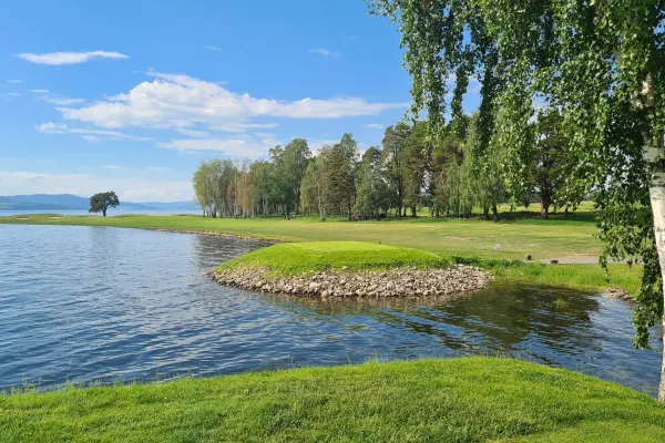 Green ved Mjøsa
